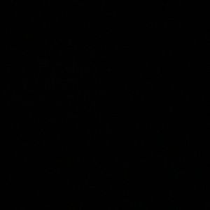 Meet your Posher, Ana